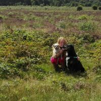 Hondenoppas Veenendaal: Joëlle