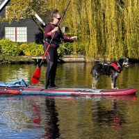 Hondenoppas werk Utrecht: baasje van Loetje