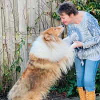 Hondenoppas Koog aan de Zaan: Gerdien