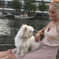 Hondenoppas werk Amsterdam: baasje van Jillz