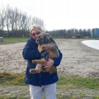 Hondenoppas Almere: Betty