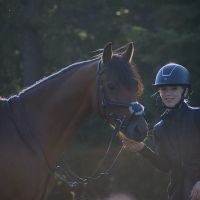 Hondenuitlaatservice Emmen (Drenthe): Amber