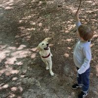 Hondenoppas werk Tilburg: baasje van Izzy