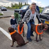 Hondenuitlaatservice Leiden: Shar