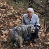Hondenoppas Amersfoort: Roel